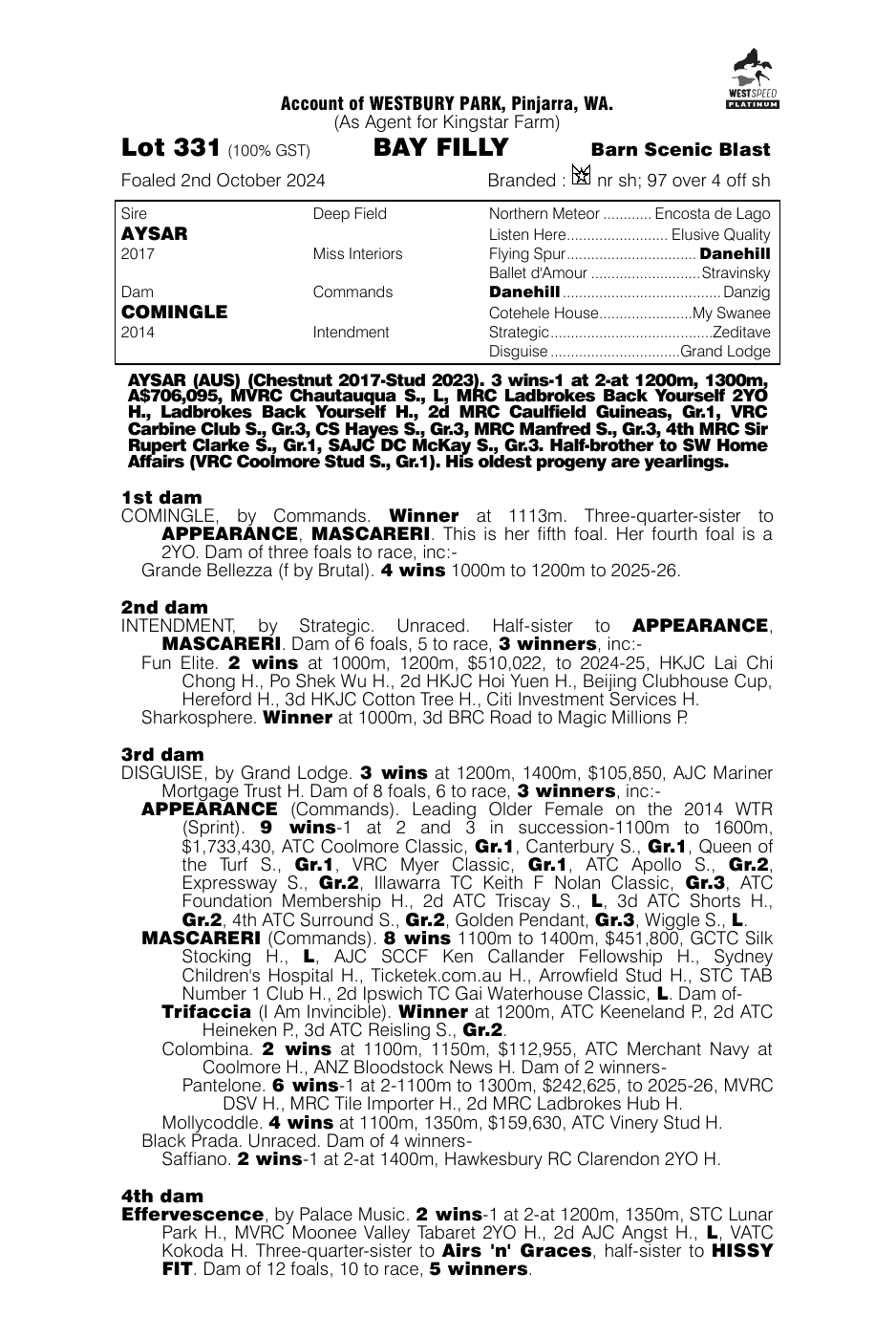 Pedigree - Lot 331