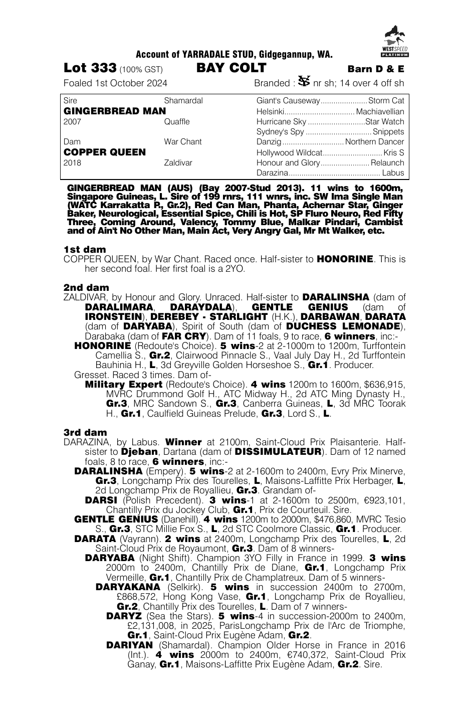 Pedigree - Lot 333