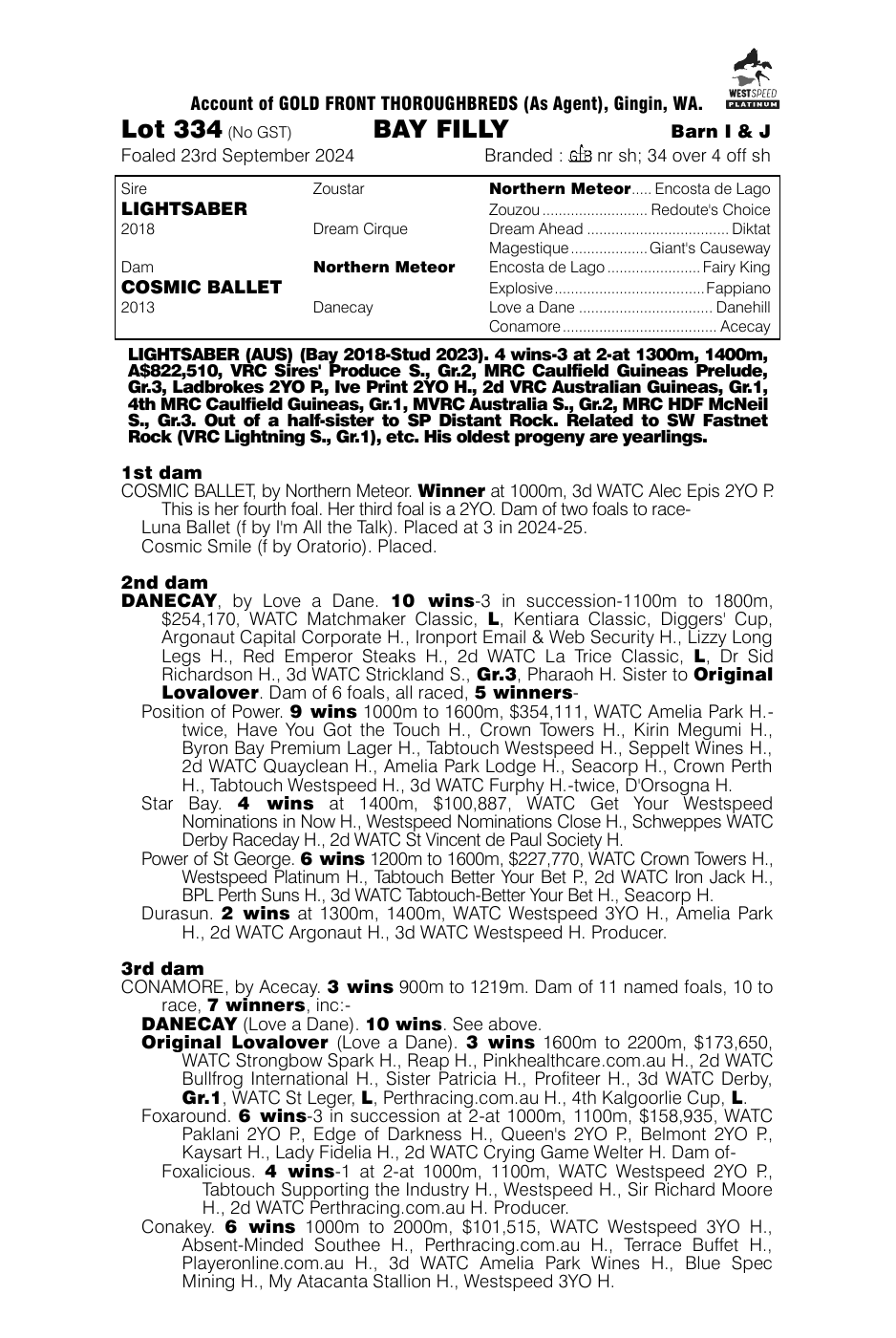 Pedigree - Lot 334