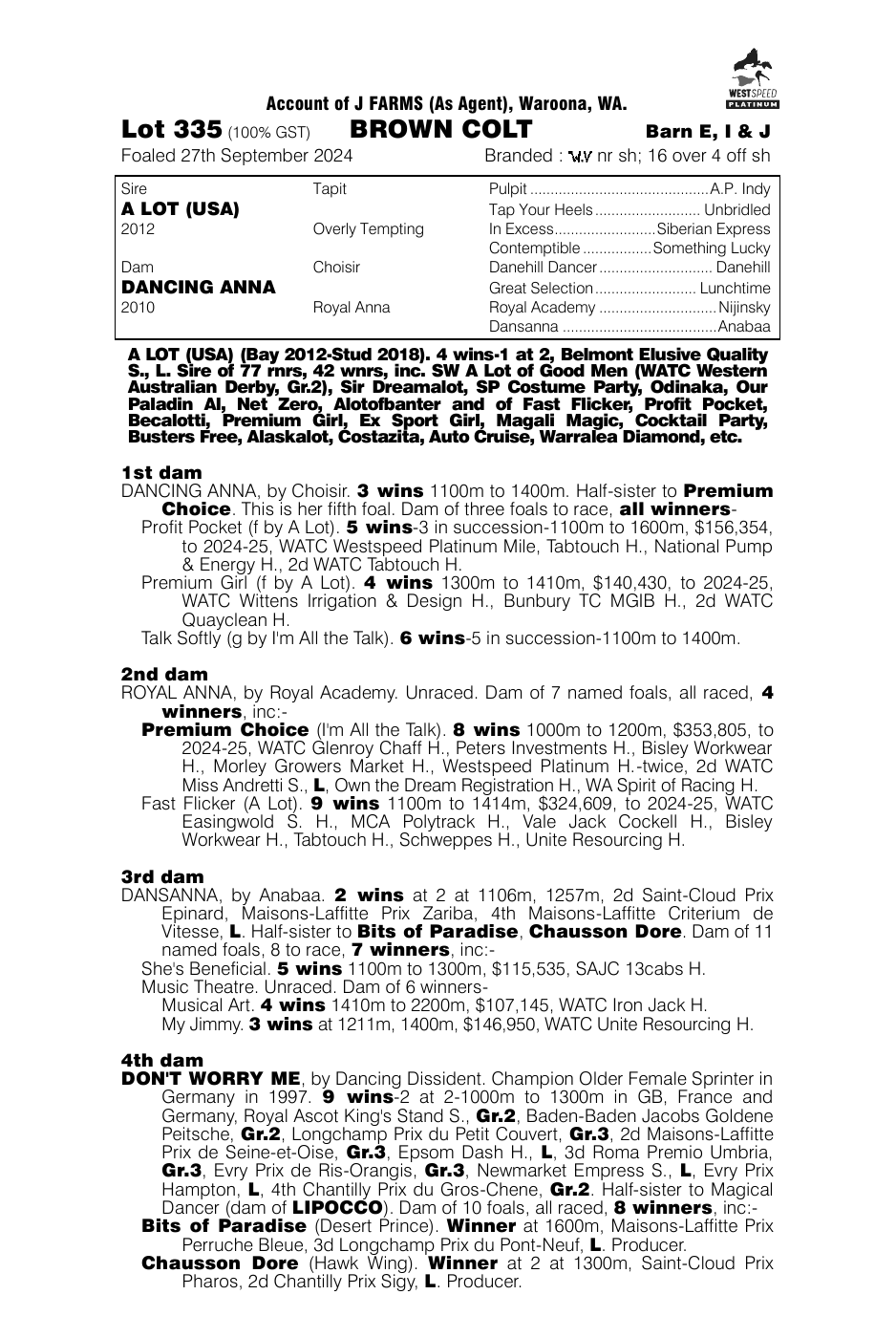 Pedigree - Lot 335