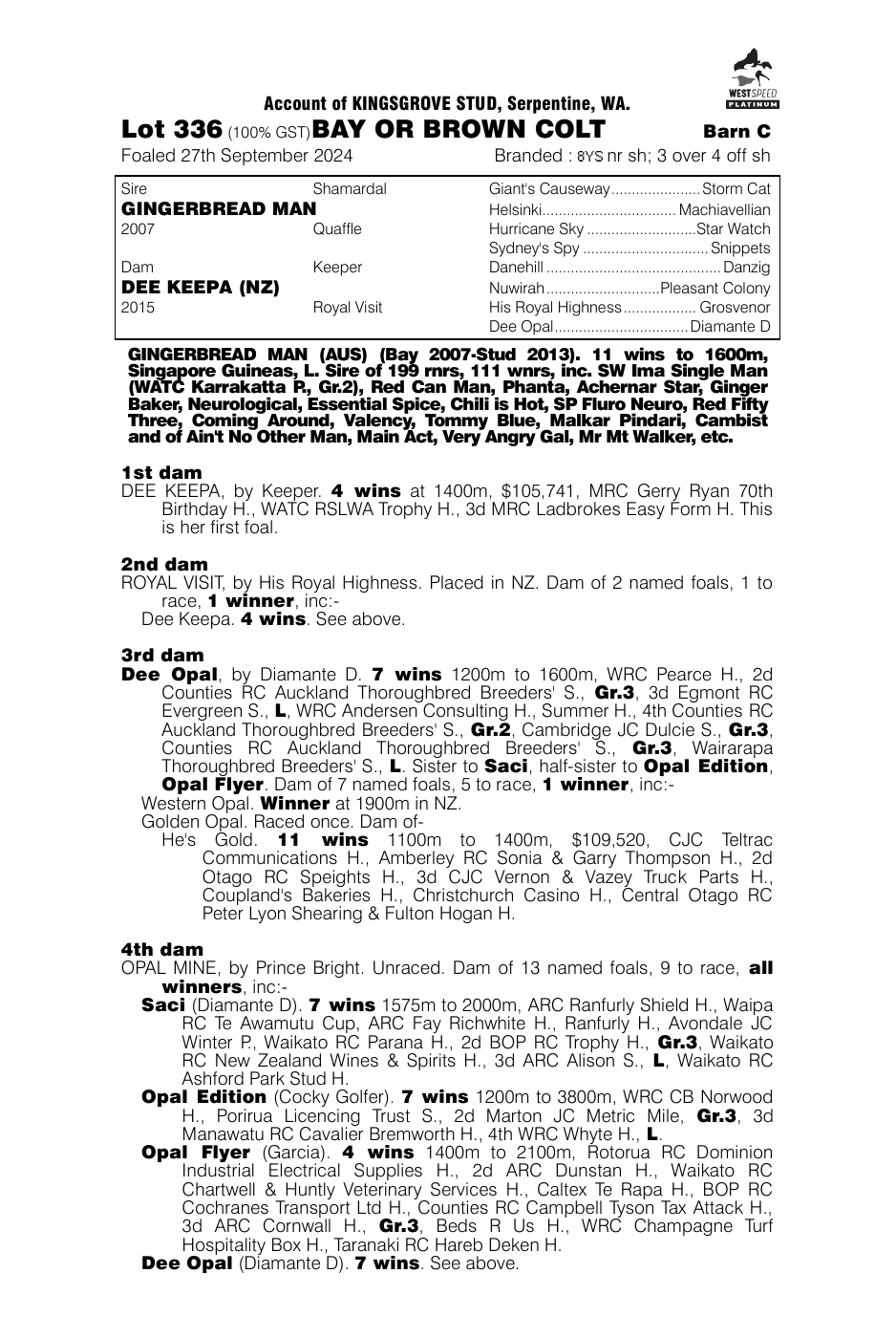 Pedigree - Lot 336