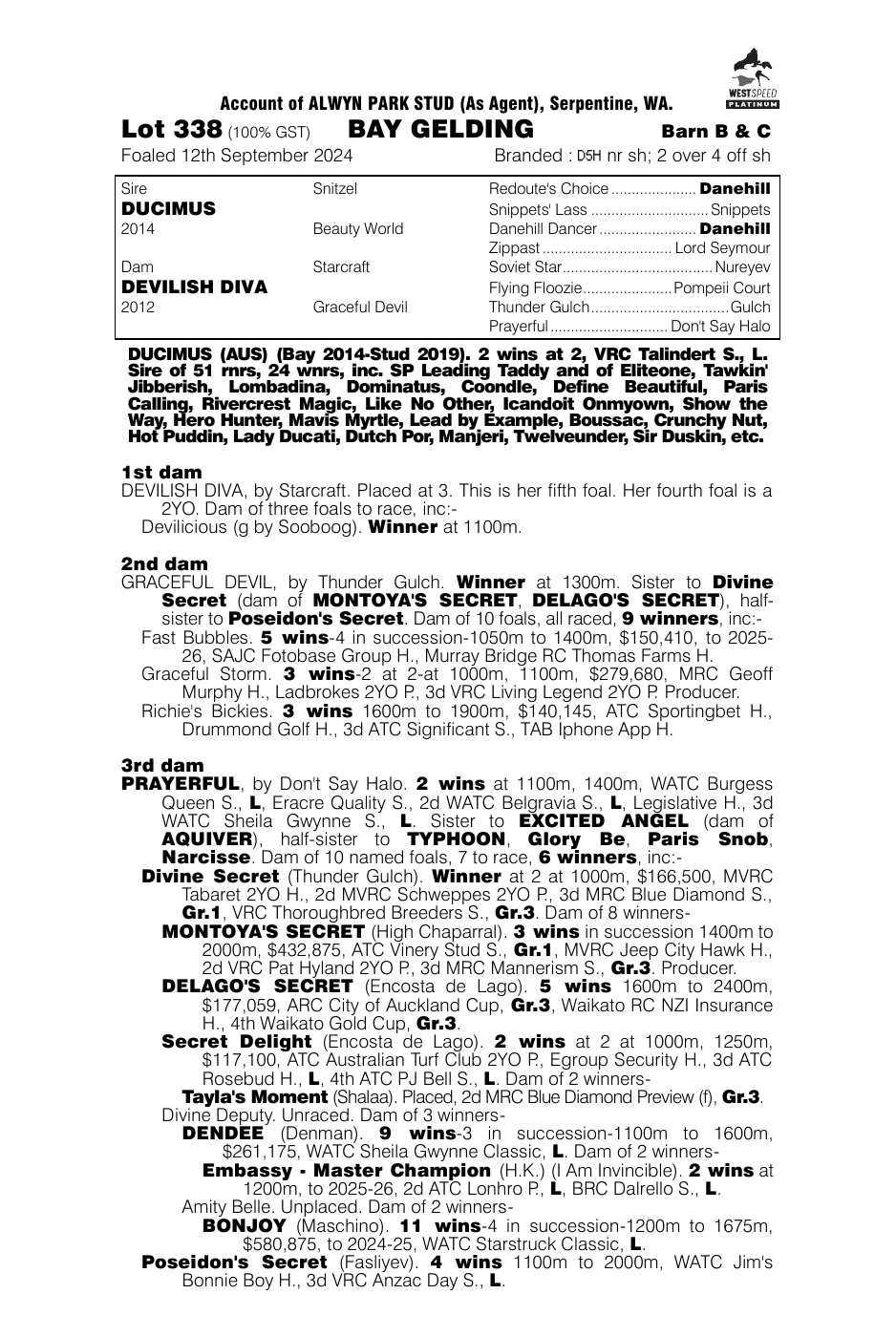 Pedigree - Lot 338