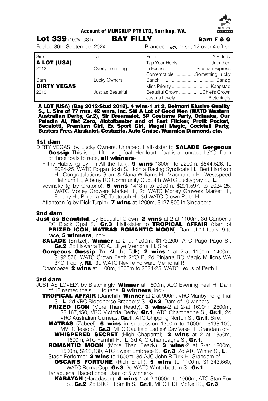 Pedigree - Lot 339