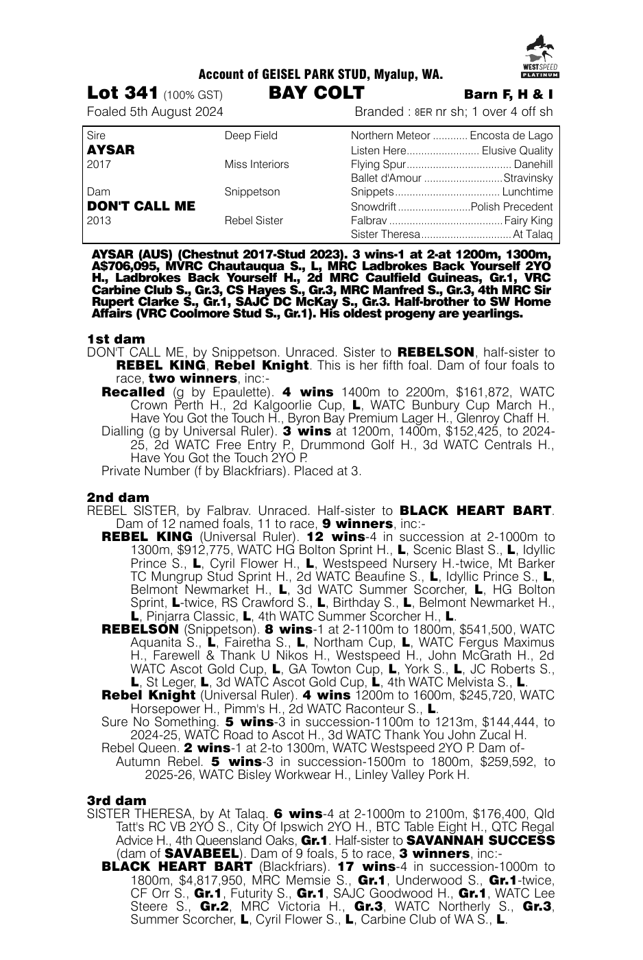 Pedigree - Lot 341