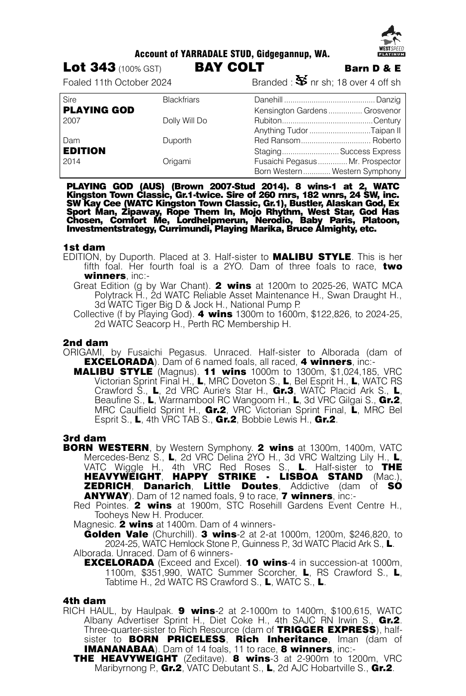 Pedigree - Lot 343