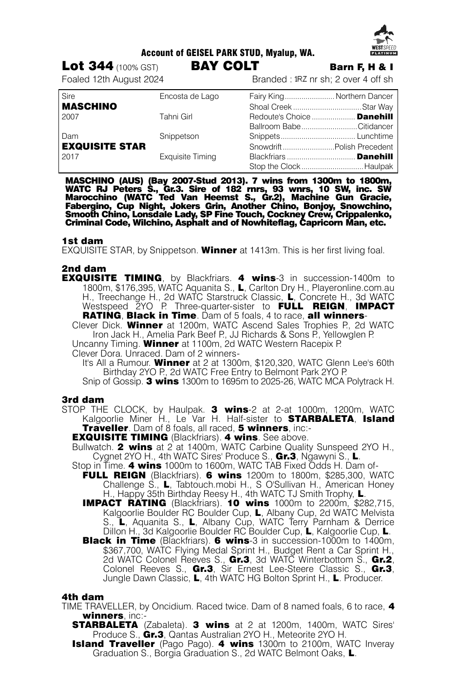 Pedigree - Lot 344