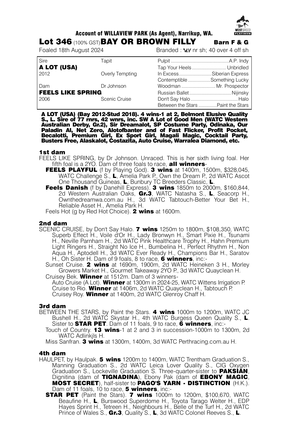 Pedigree - Lot 346