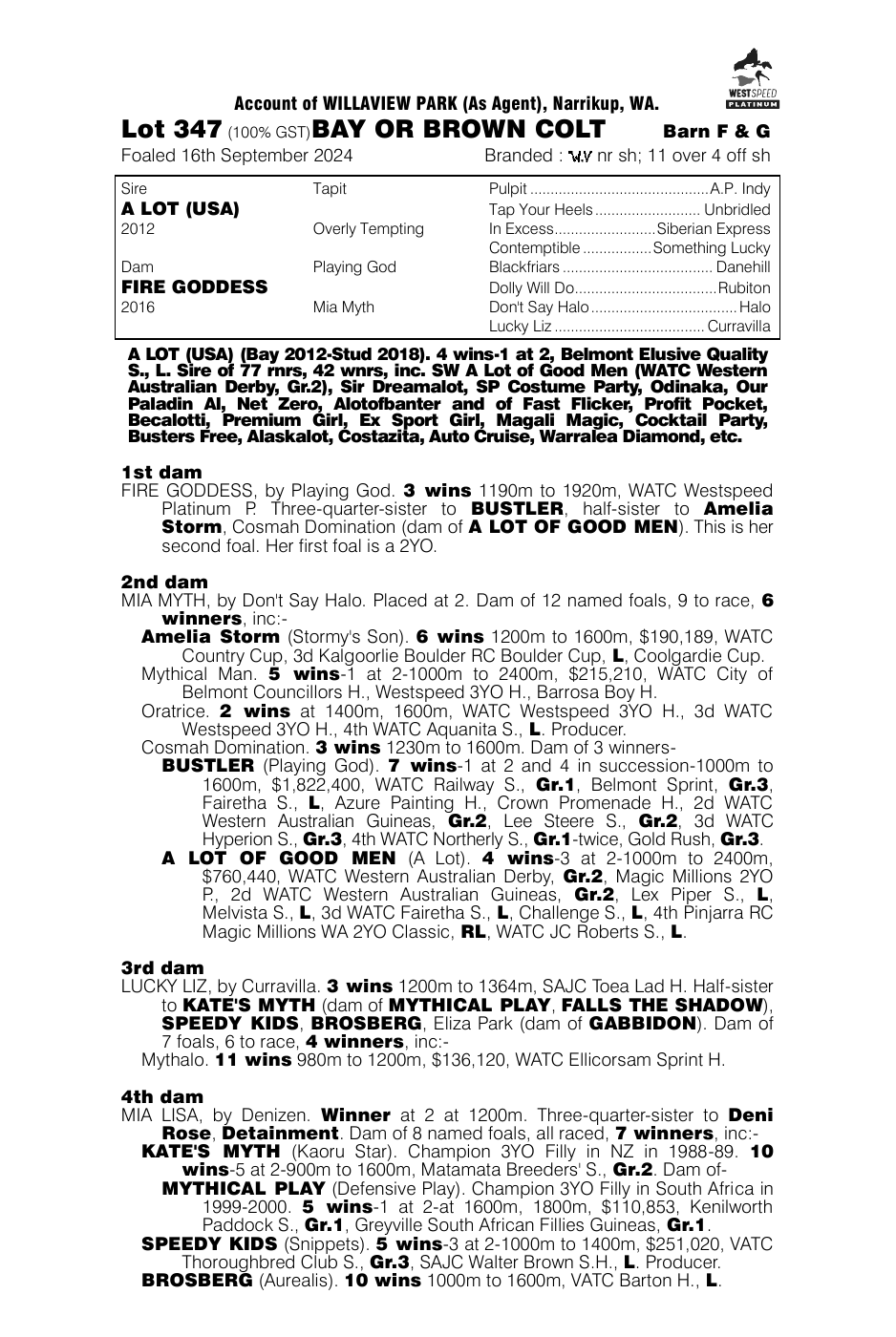 Pedigree - Lot 347