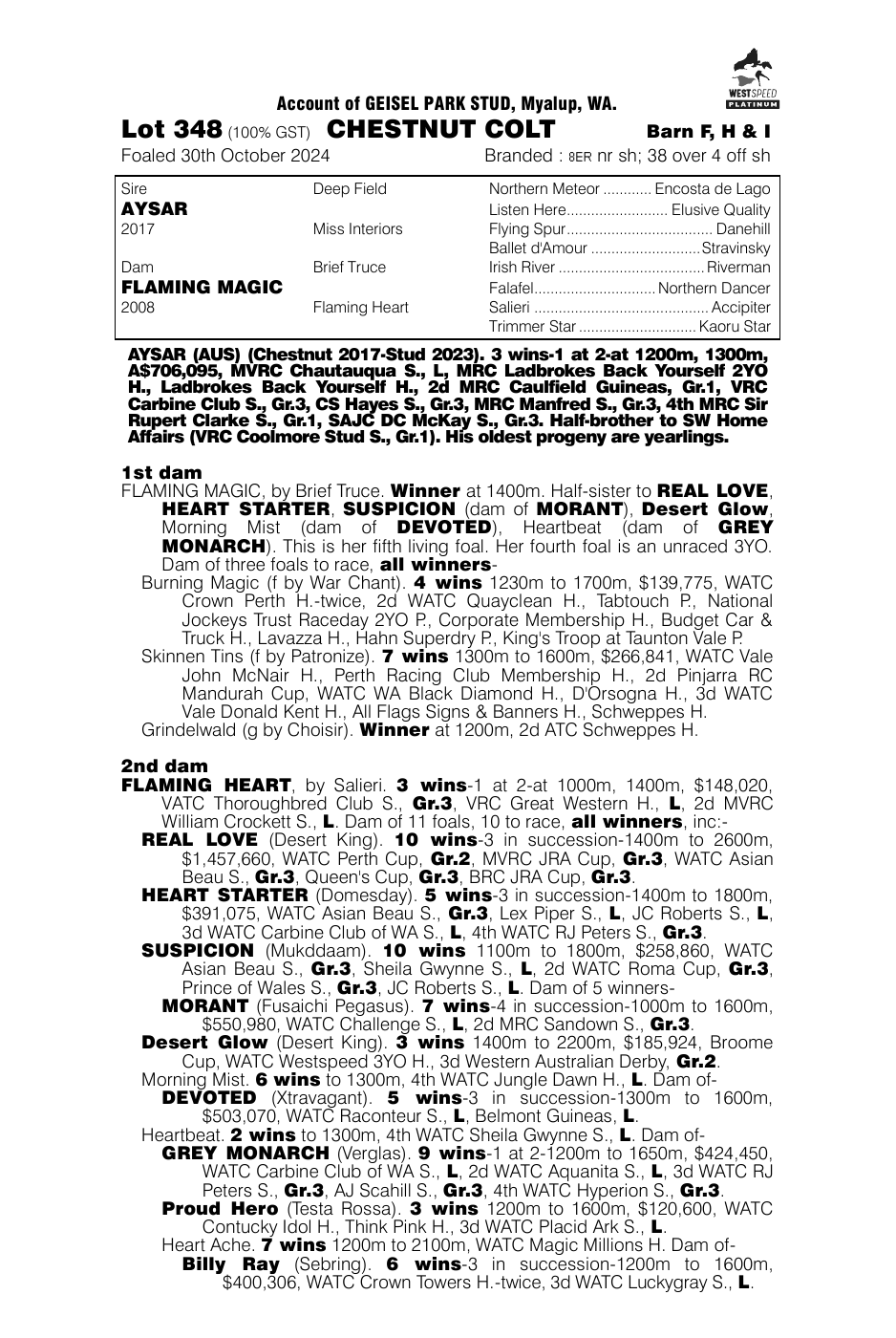 Pedigree - Lot 348