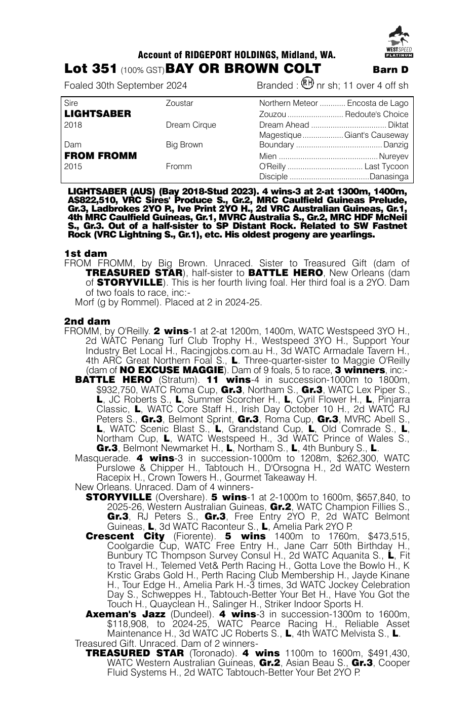 Pedigree - Lot 351