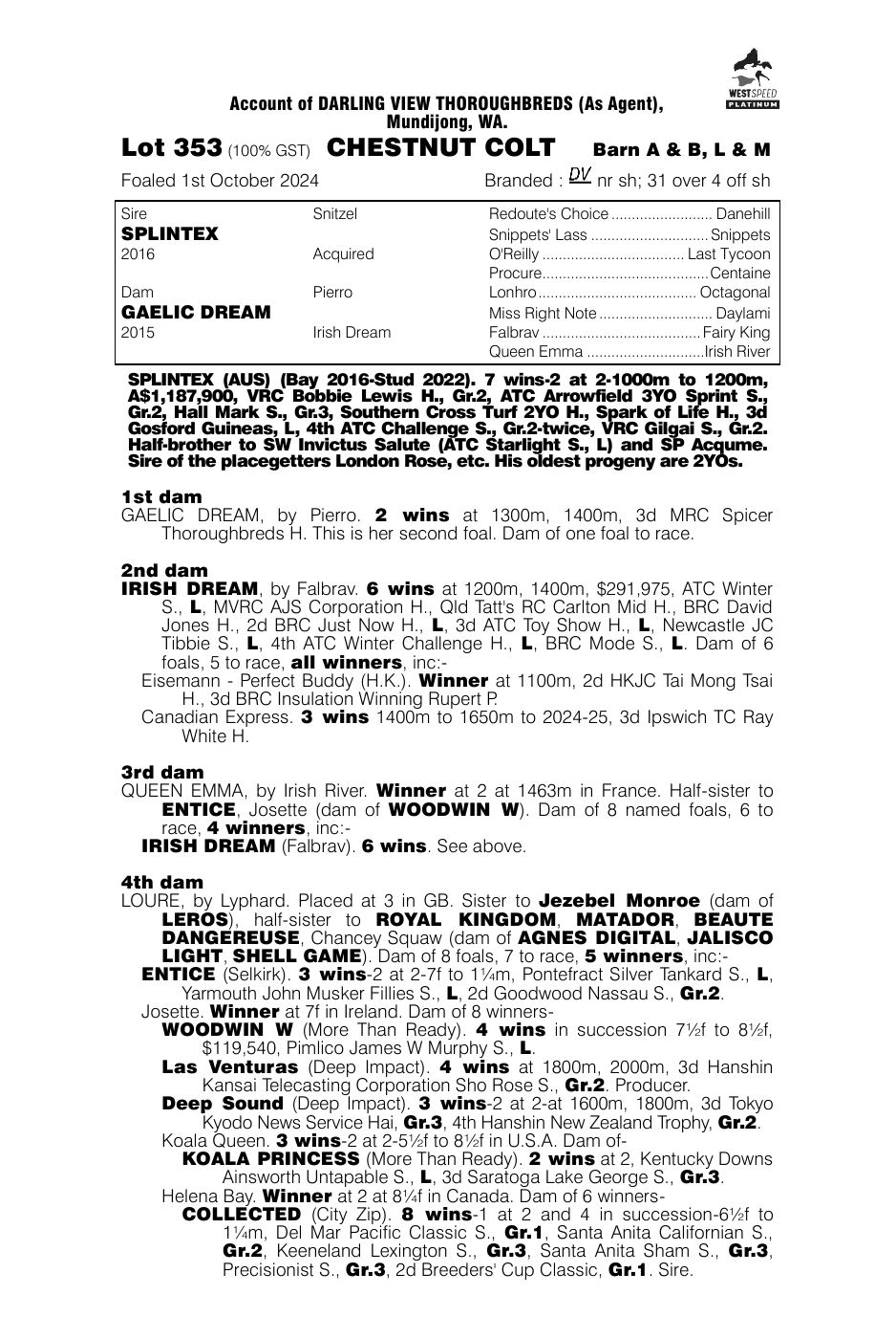 Pedigree - Lot 353