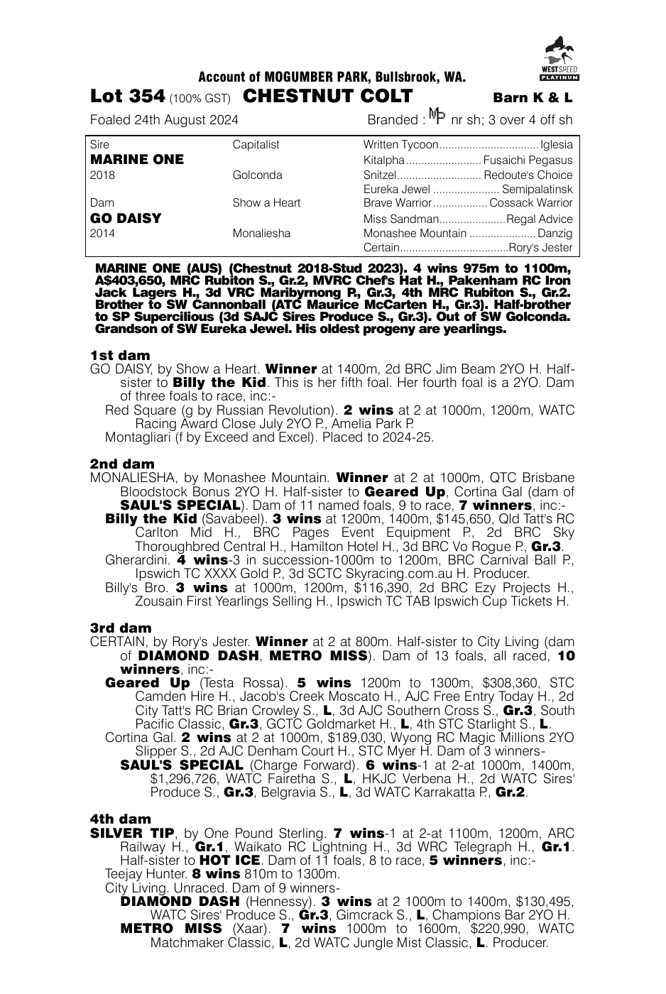 Pedigree - Lot 354