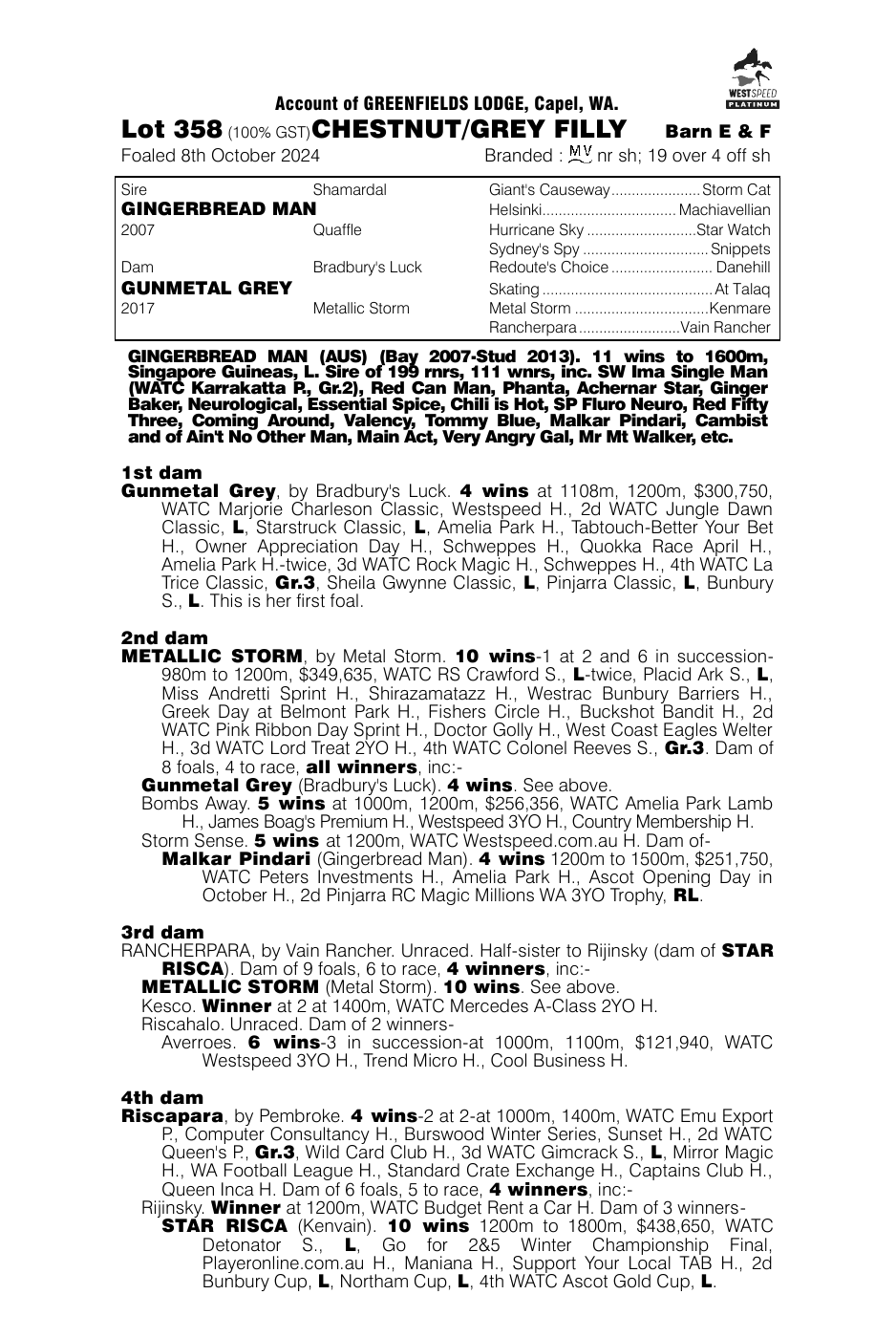 Pedigree - Lot 358