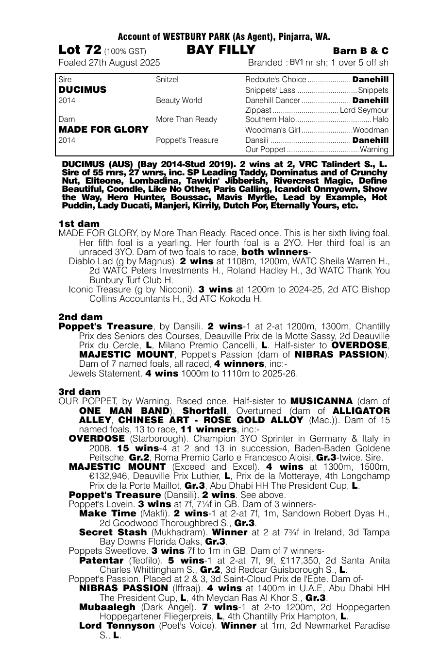 Pedigree - Lot 72