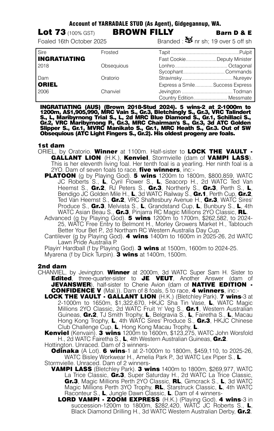 Pedigree - Lot 73