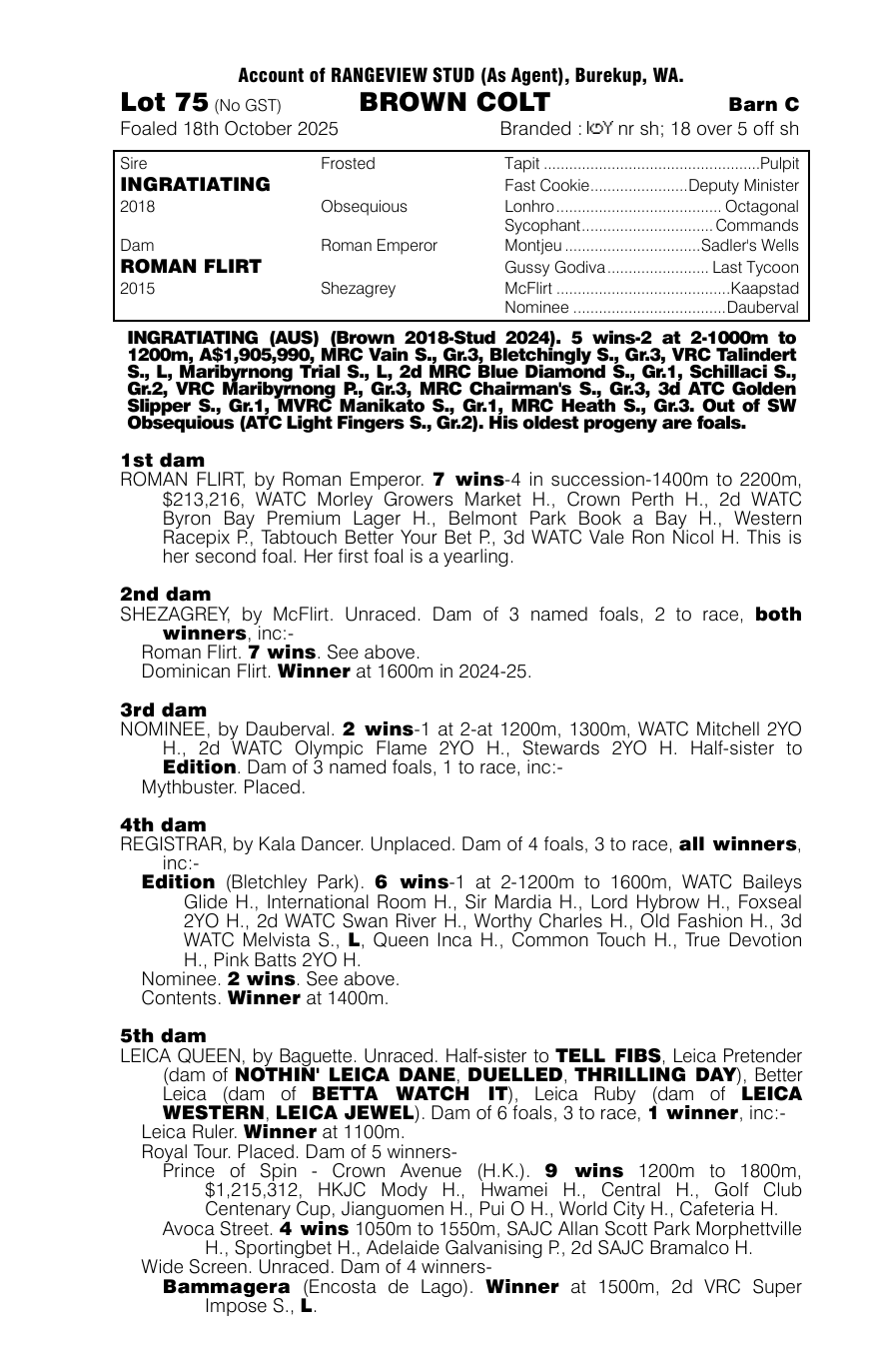 Pedigree - Lot 75