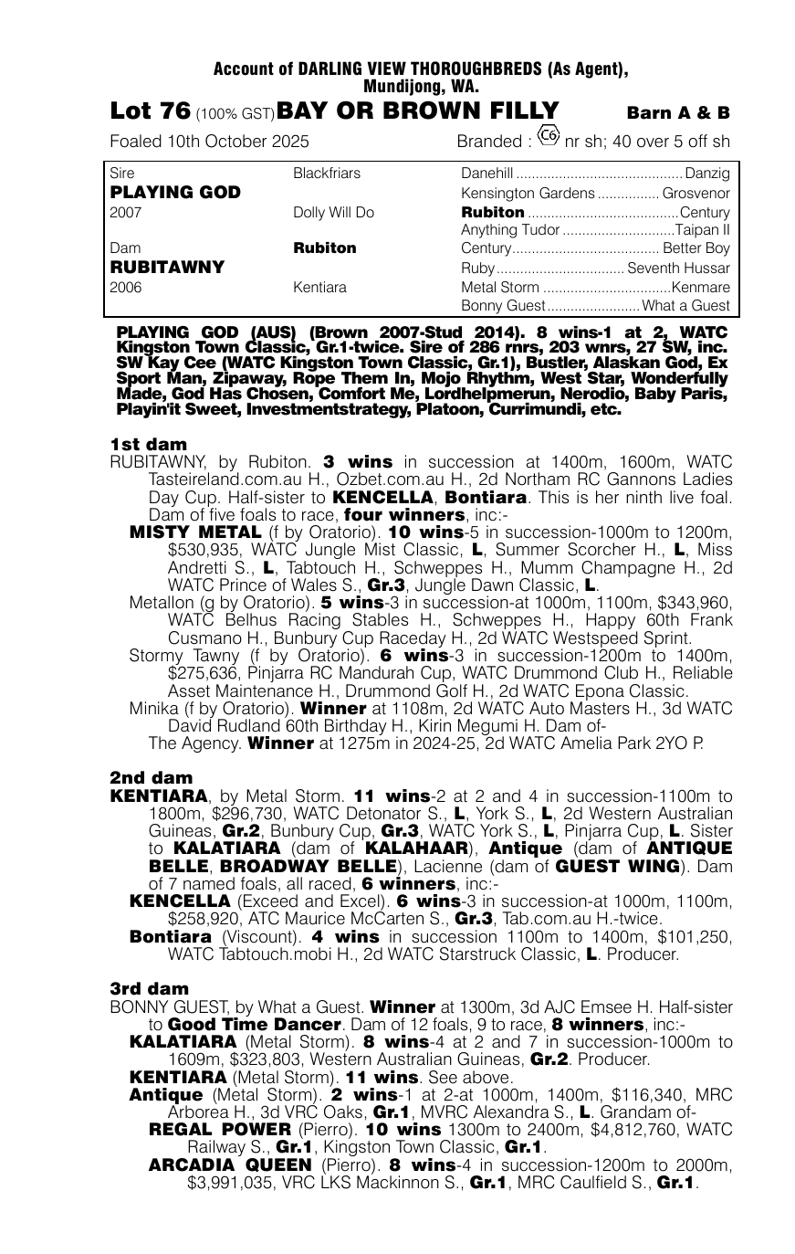 Pedigree - Lot 76
