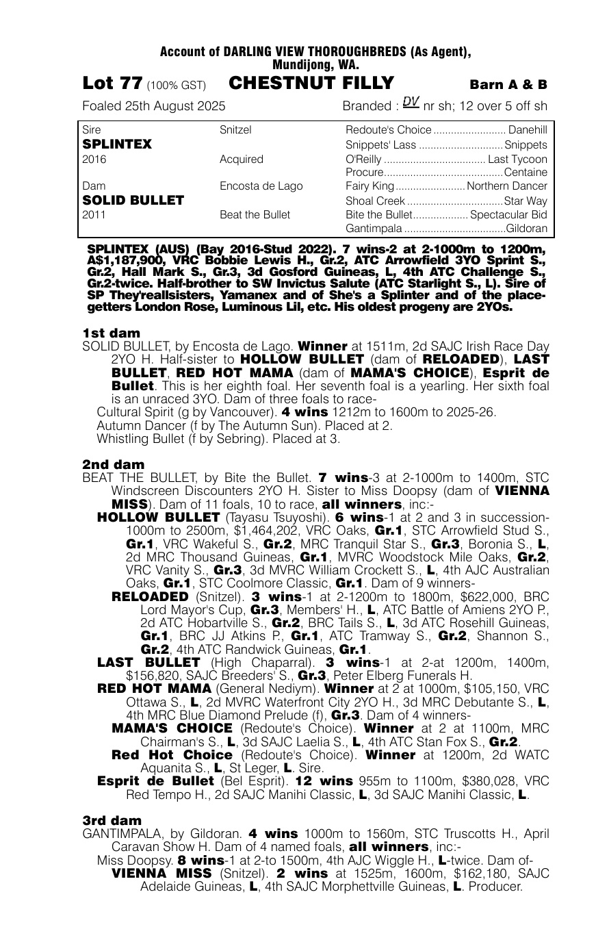 Pedigree - Lot 77