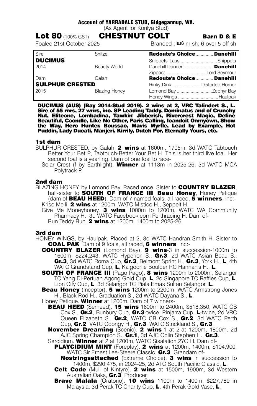 Pedigree - Lot 80