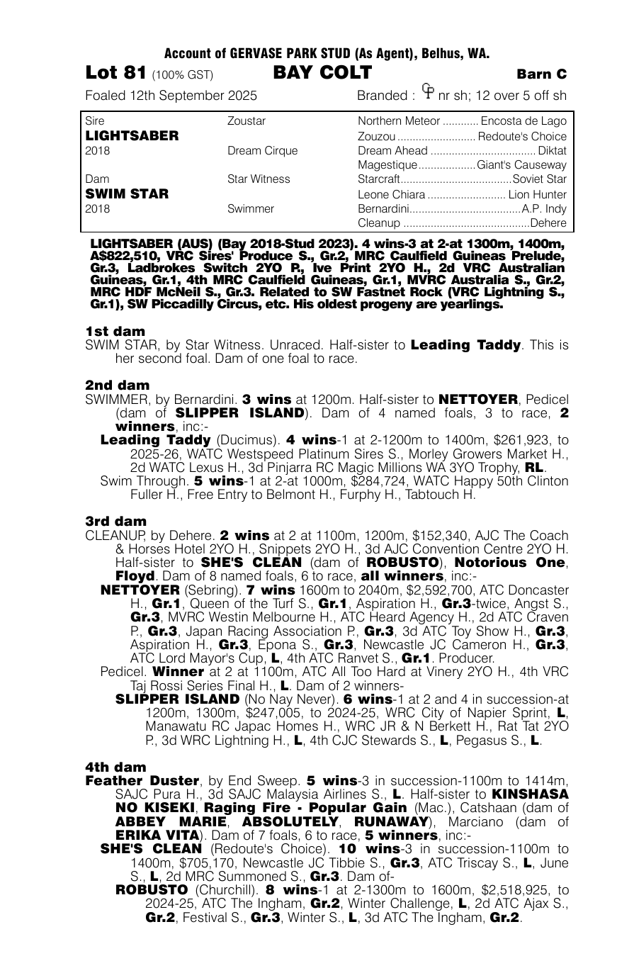 Pedigree - Lot 81