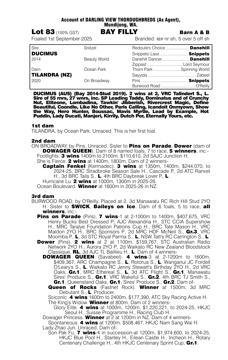 Pedigree - Lot 83