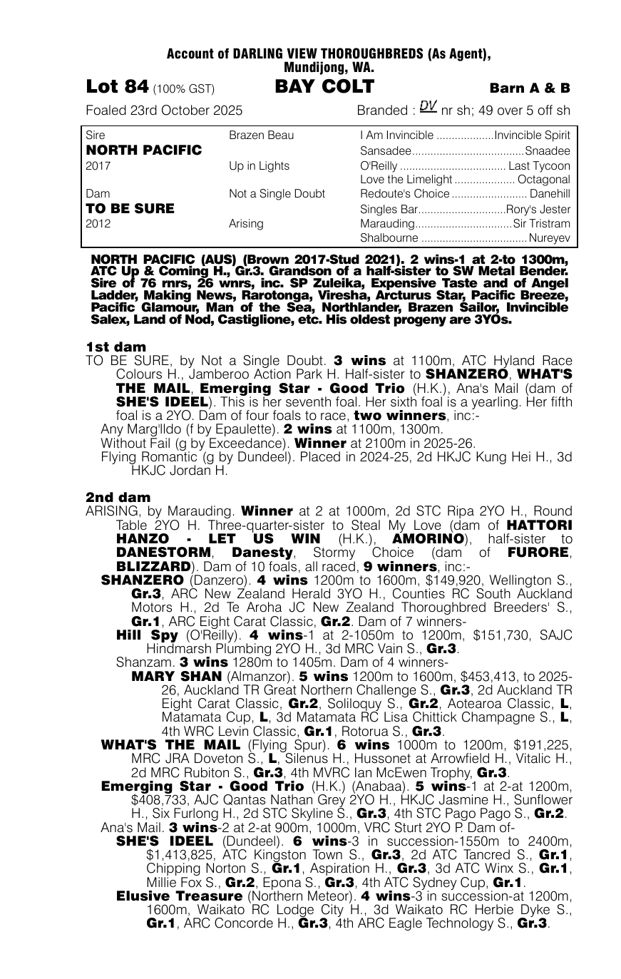 Pedigree - Lot 84