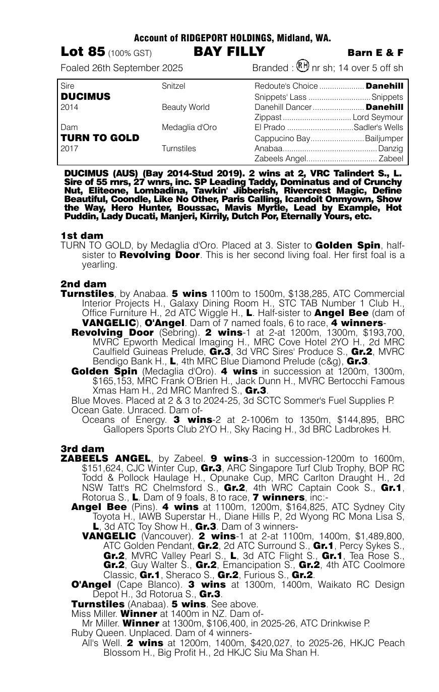 Pedigree - Lot 85