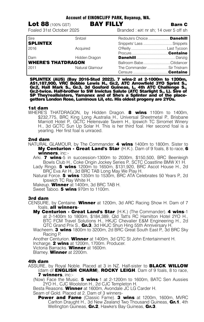 Pedigree - Lot 88
