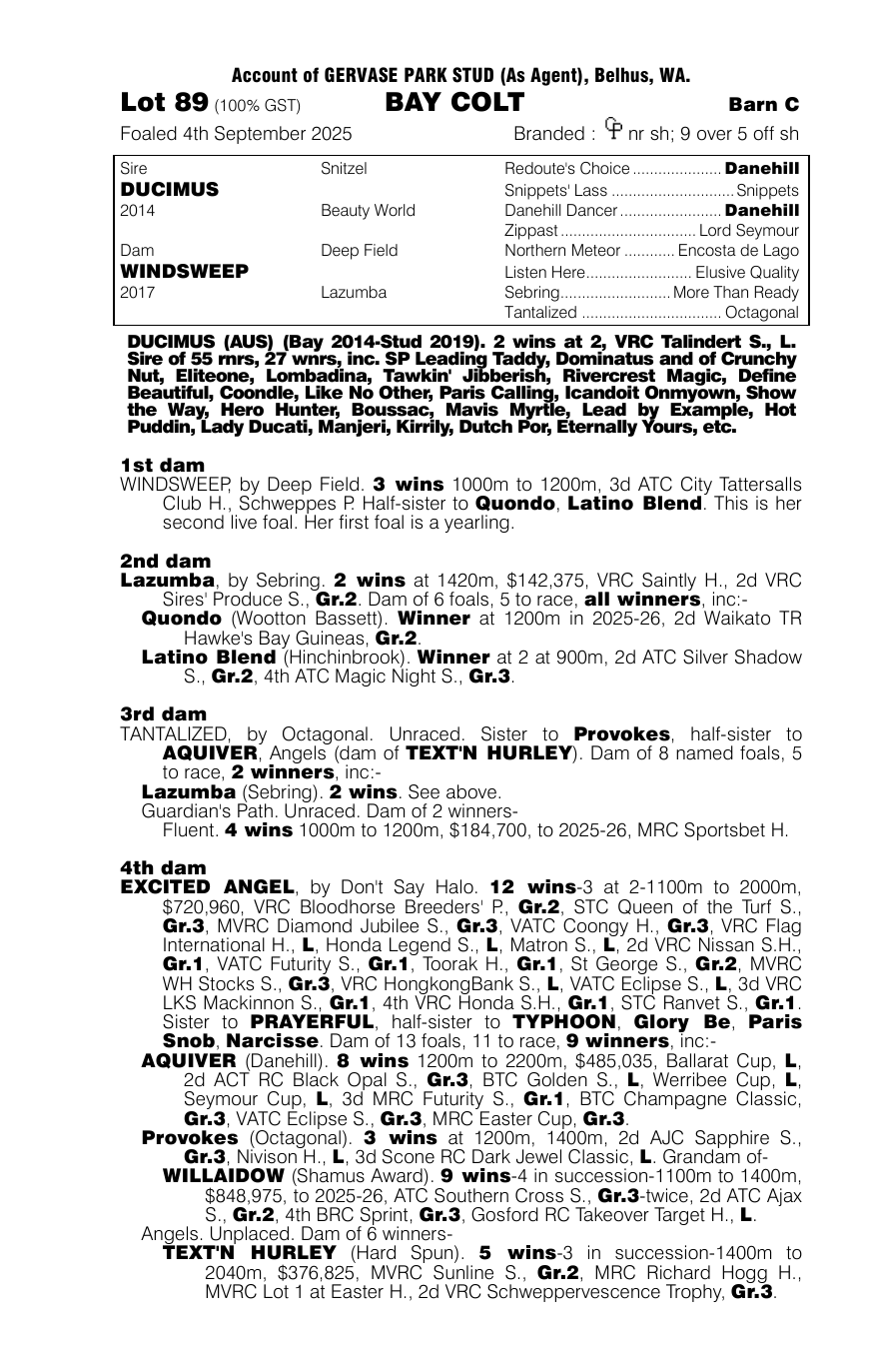 Pedigree - Lot 89