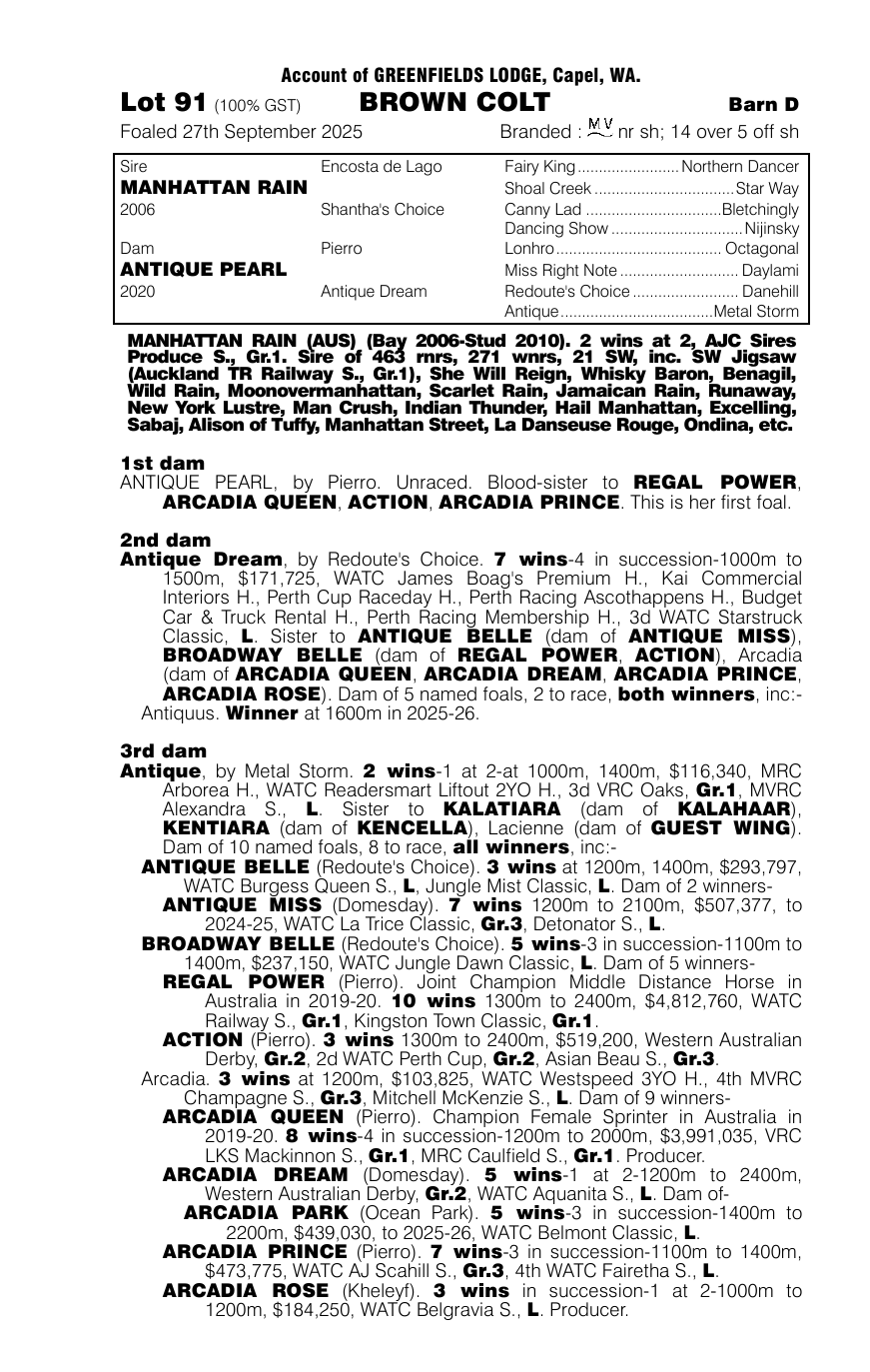 Pedigree - Lot 91