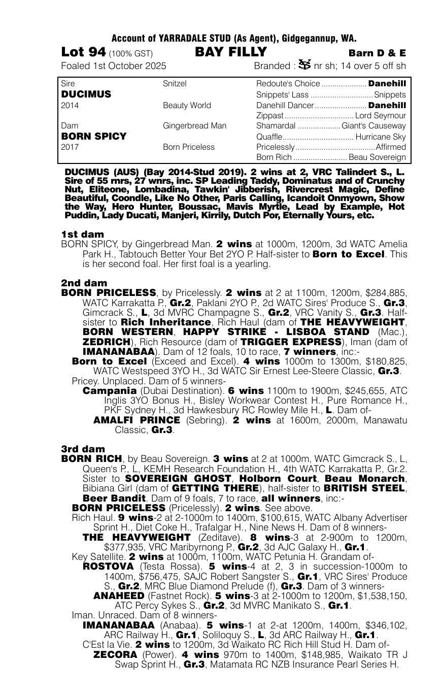 Pedigree - Lot 94