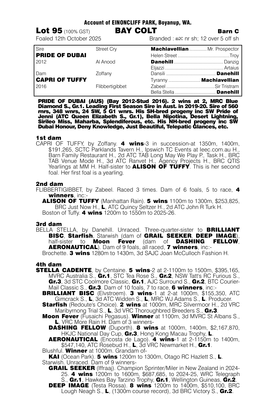 Pedigree - Lot 95