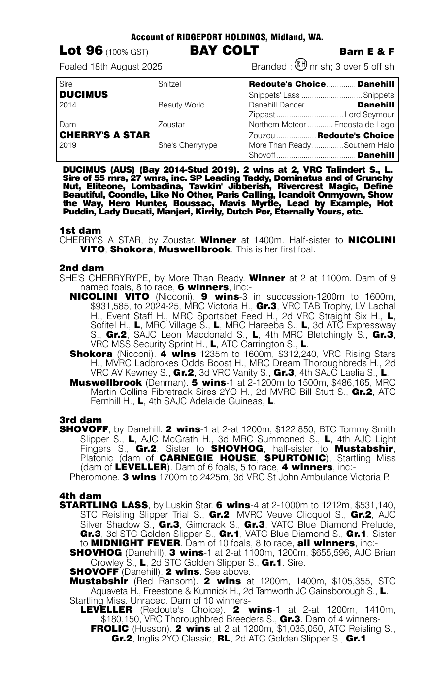 Pedigree - Lot 96