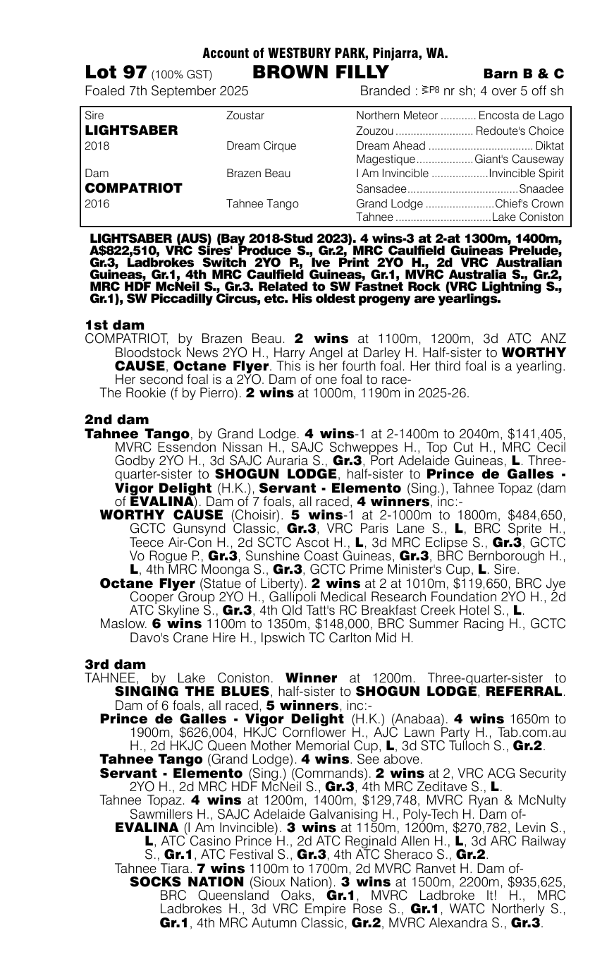 Pedigree - Lot 97