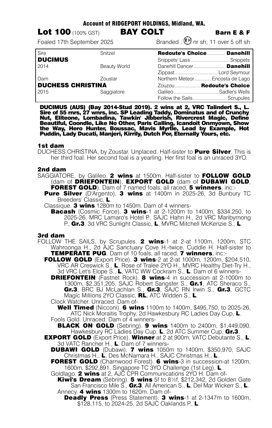 Pedigree - Lot 100