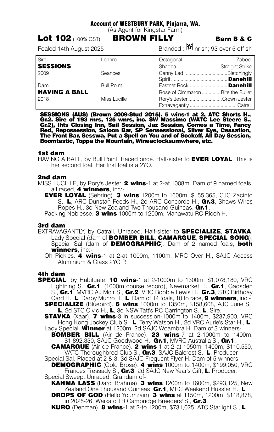 Pedigree - Lot 102
