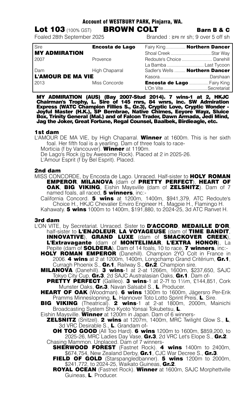 Pedigree - Lot 103