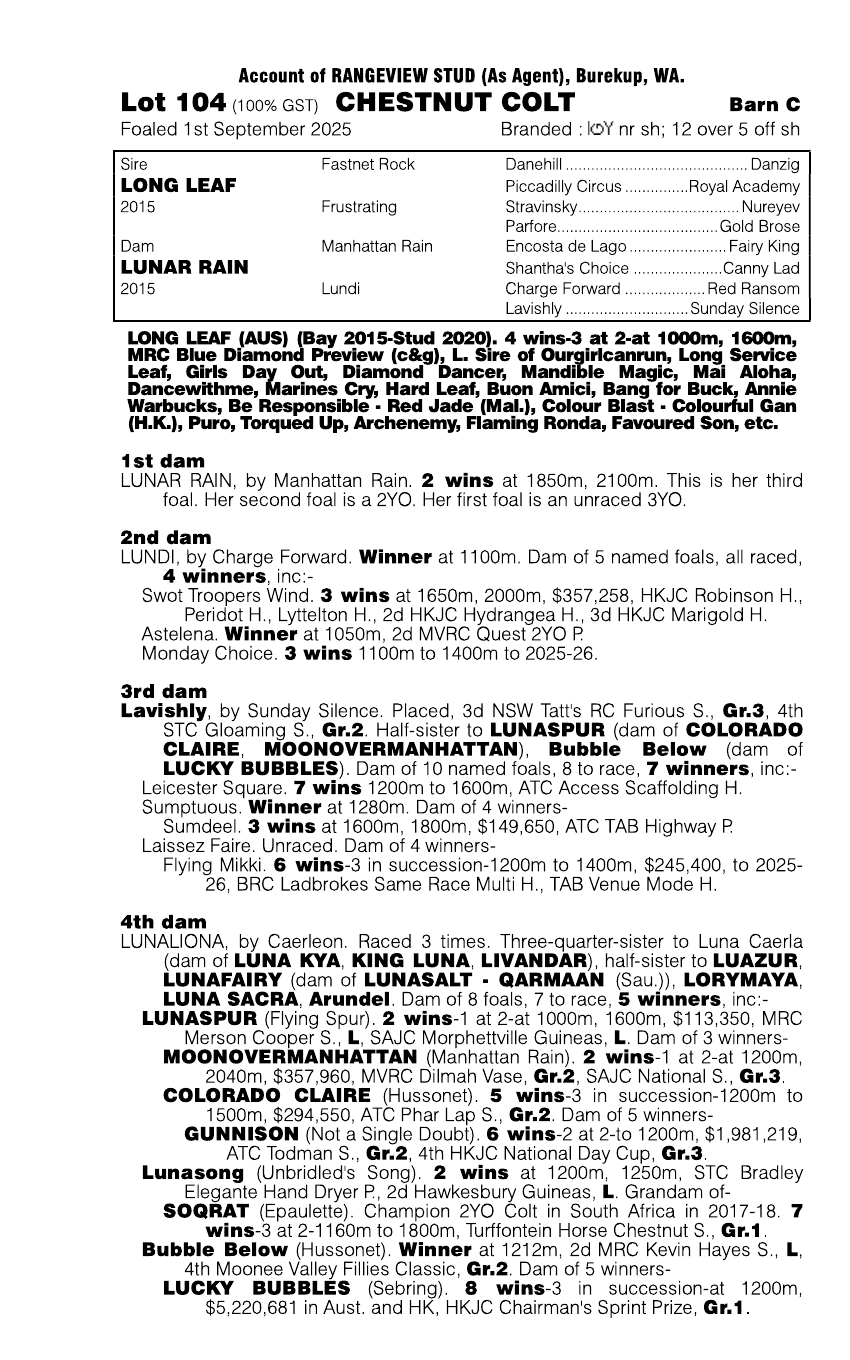 Pedigree - Lot 104