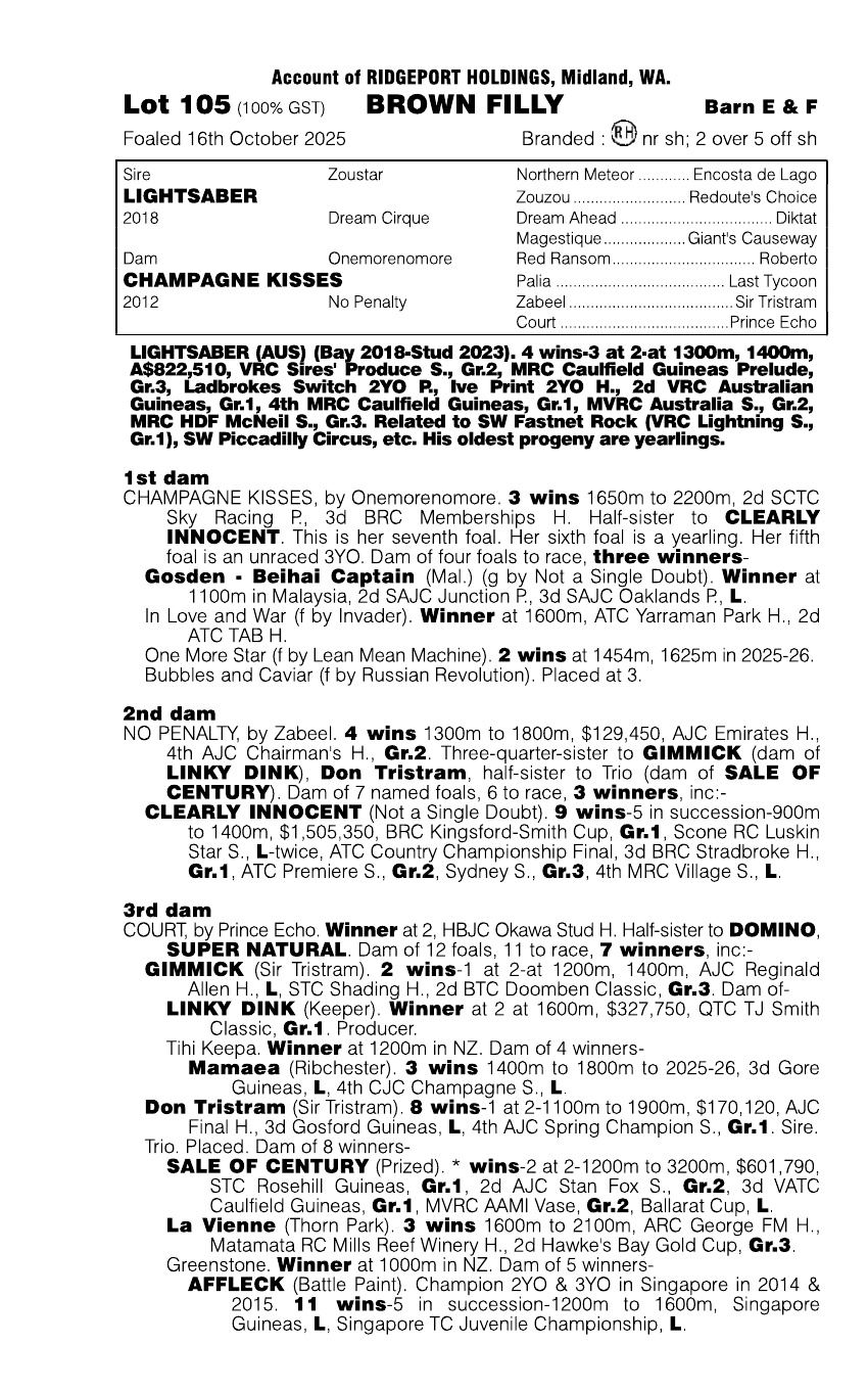 Pedigree - Lot 105