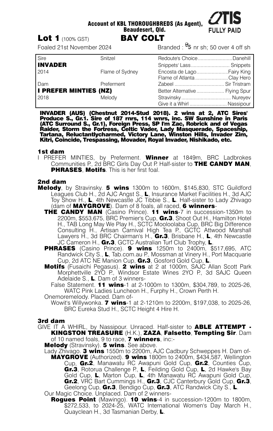 Pedigree - Lot 1