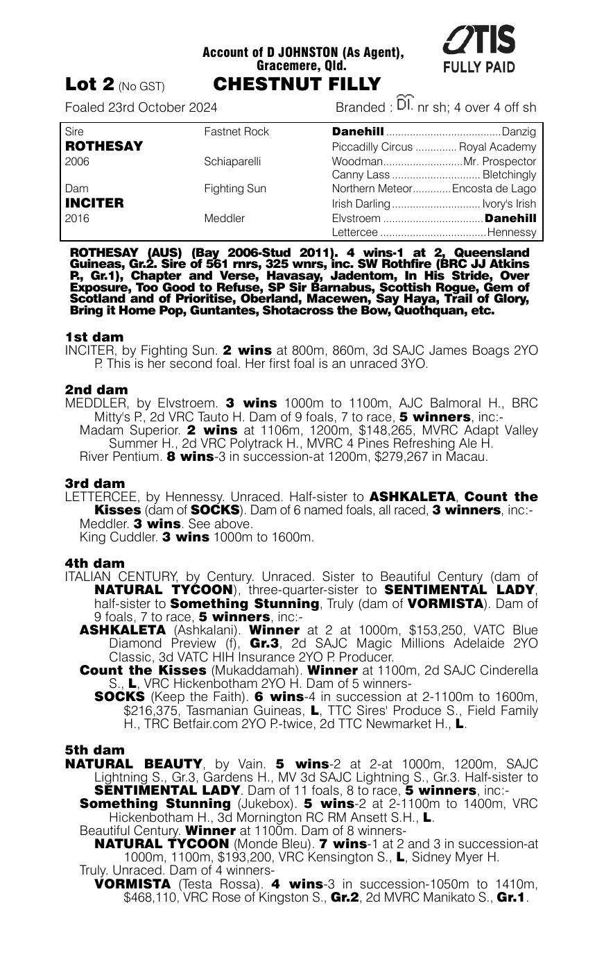Pedigree - Lot 2