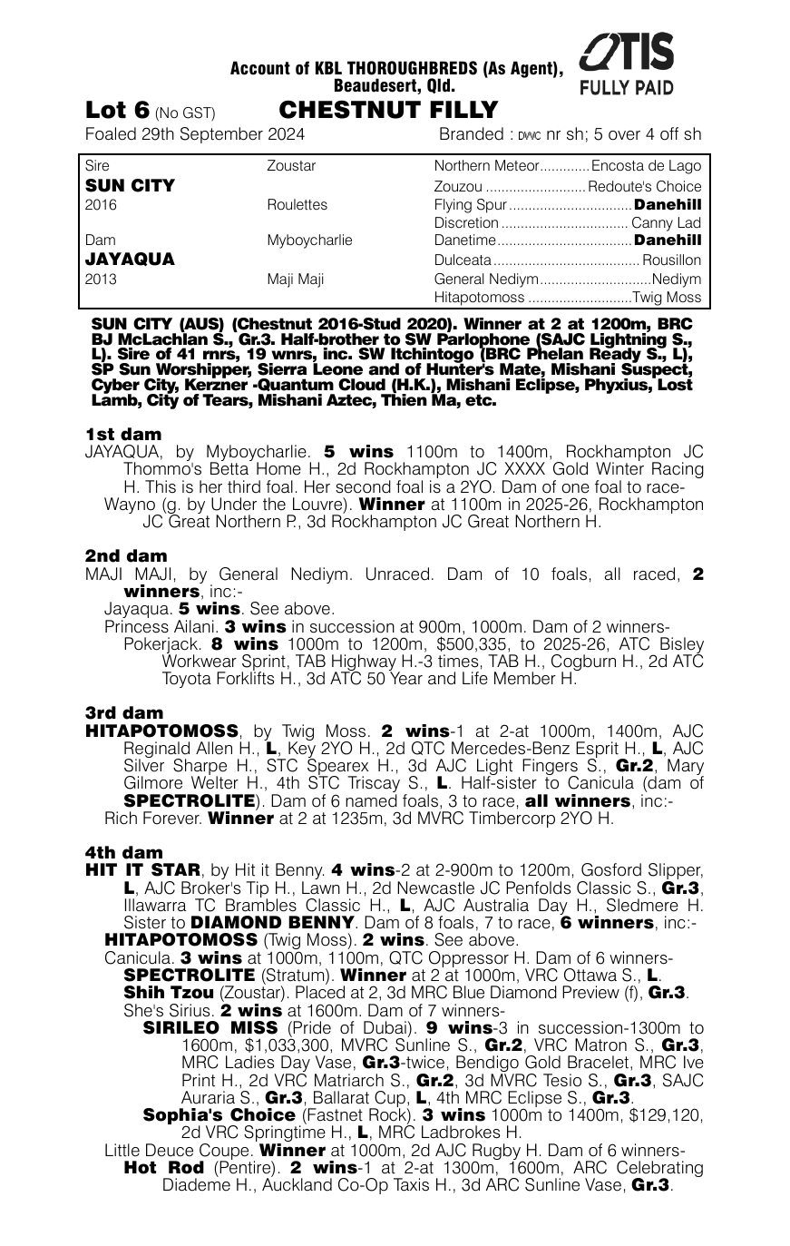 Pedigree - Lot 6