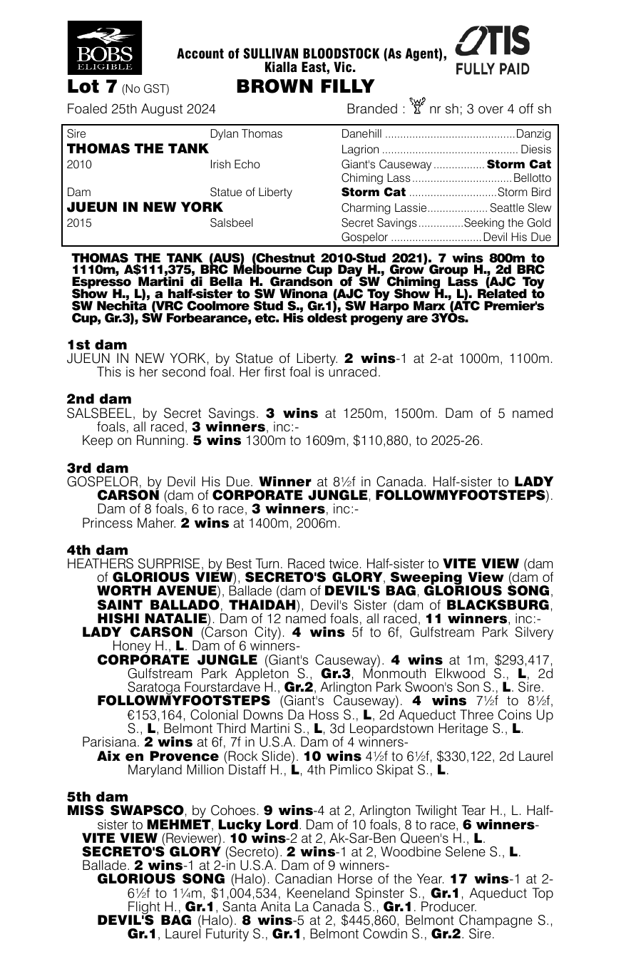 Pedigree - Lot 7