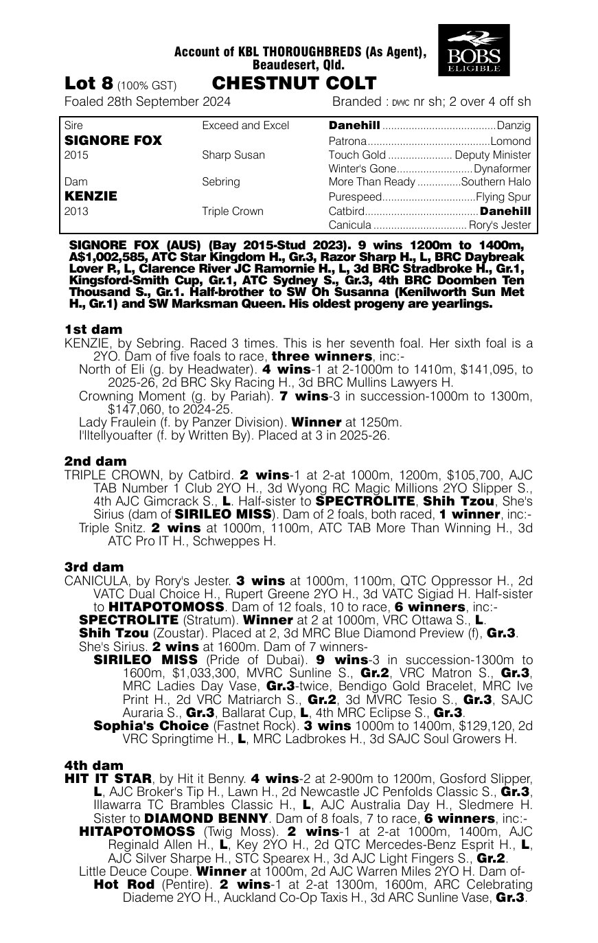 Pedigree - Lot 8