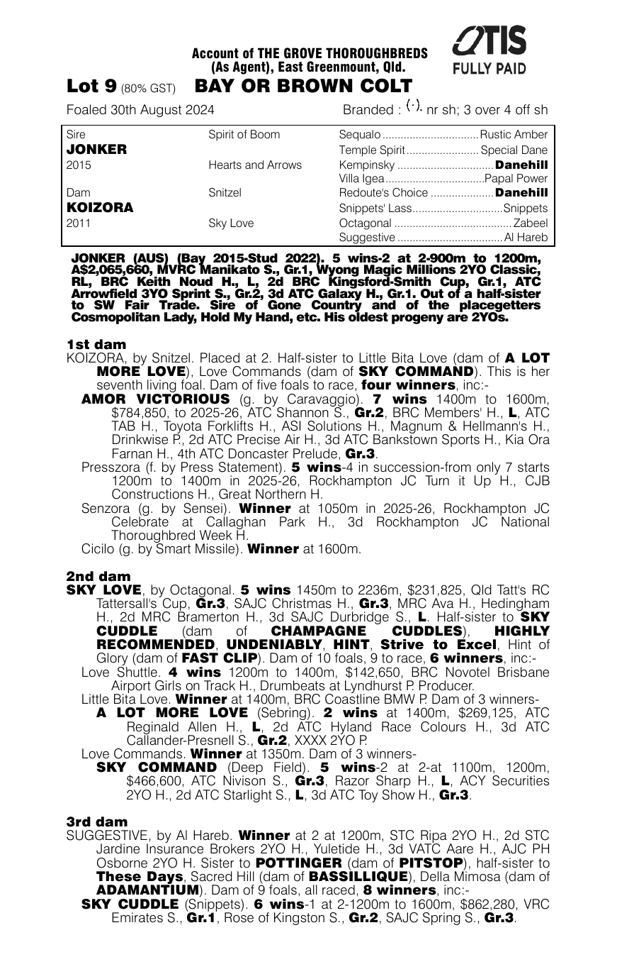 Pedigree - Lot 9