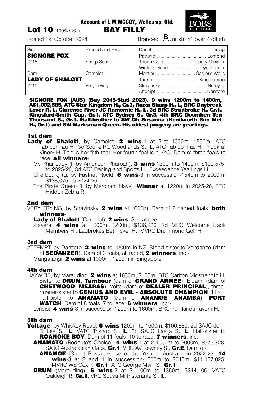 Pedigree - Lot 10