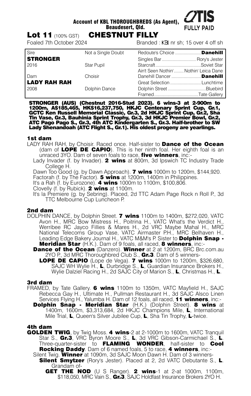 Pedigree - Lot 11