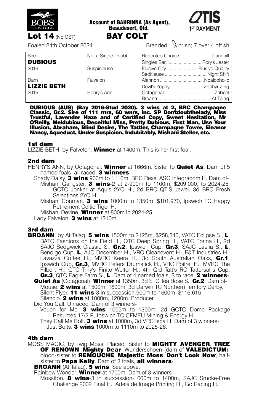 Pedigree - Lot 14