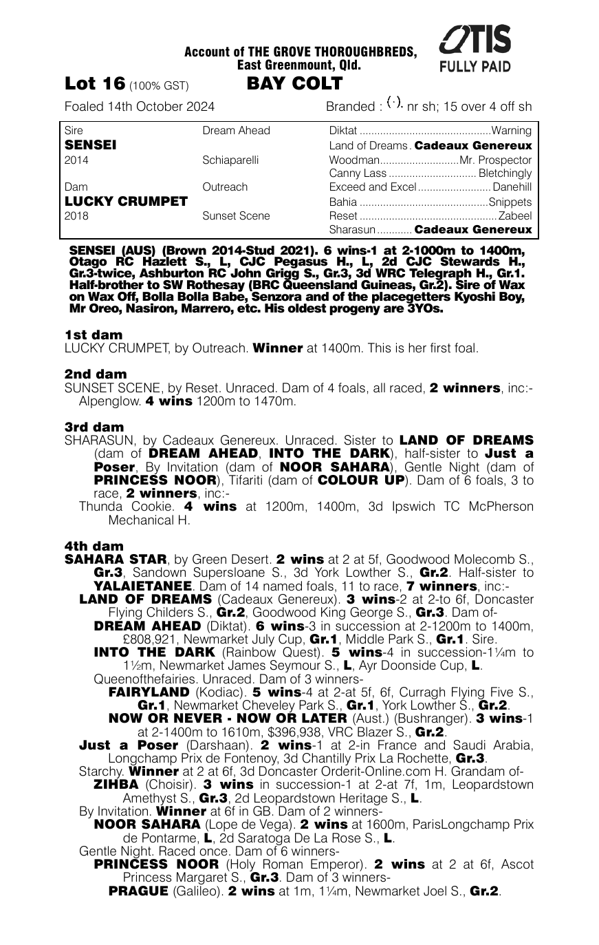 Pedigree - Lot 16