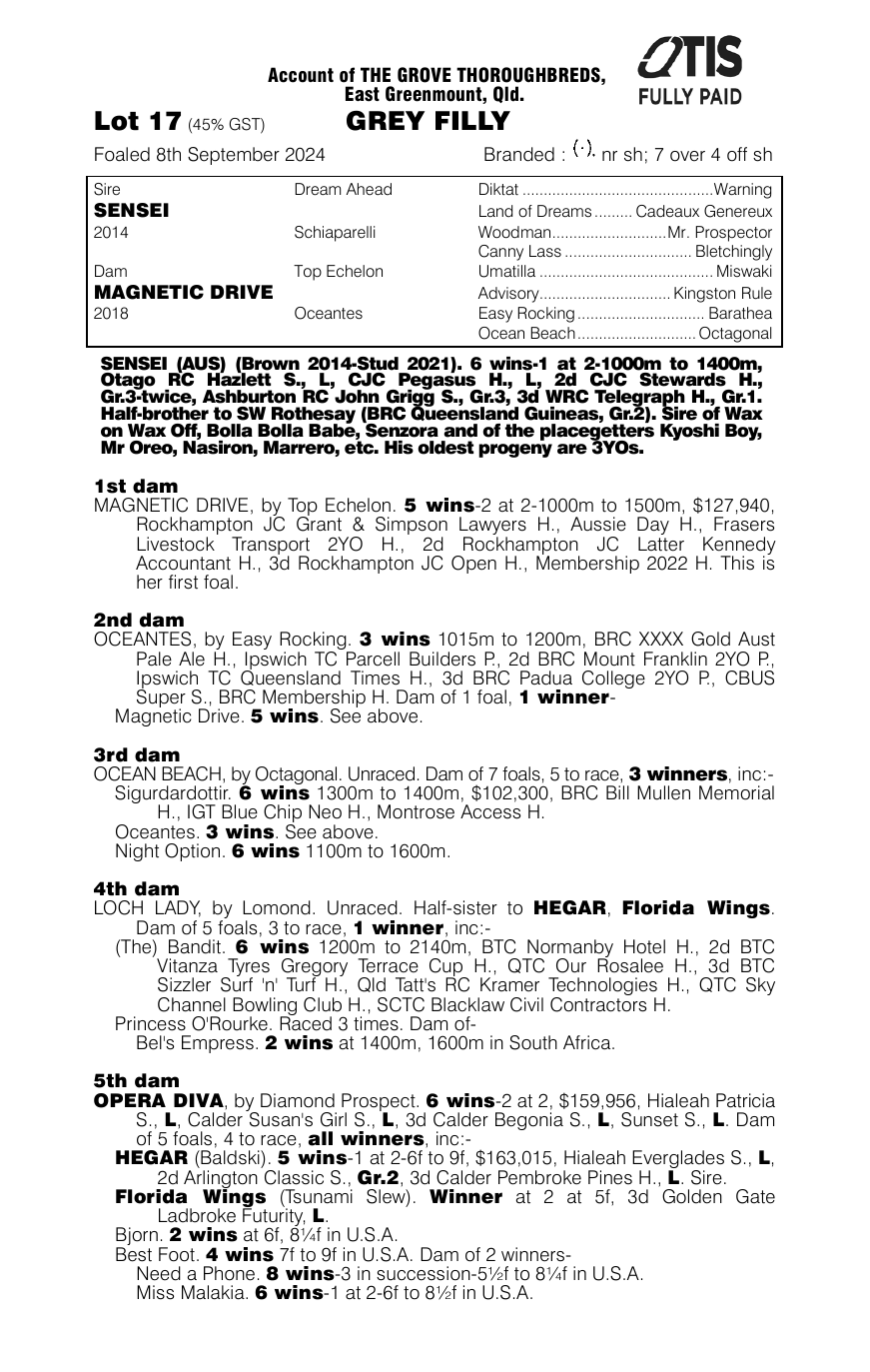 Pedigree - Lot 17